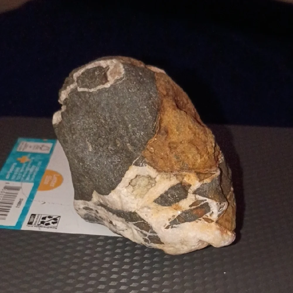 Natural Rock Decor for Reptile Habitats